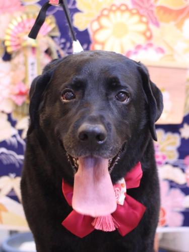 20240116こてつくん